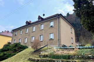 Mehrfamilienhaus kaufen in 01814 Bad Schandau, Kleines Mehrfamilienhaus, teilvermietet zur Sanierung in Krippen