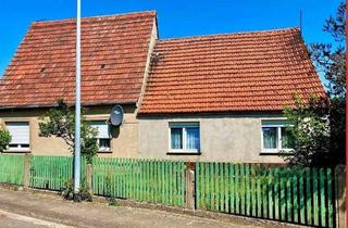 Haus mieten in 04916 Schönewalde, Einfamilienhaus 4,5 Zimmer teilmodernisiert großes Grundstück in Schönewalde -Grassau