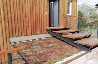 Haus mieten in 69488 Birkenau, Architektonisch stilvolles, freistehendes Haus mit Balkon und Garten in ökologischer Bauweise