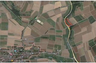 Grundstück zu kaufen in 35117 Münchhausen, Kleines Waldgrundstück