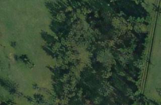 Grundstück zu kaufen in 63683 Ortenberg, Ackerland mit Baumbestand