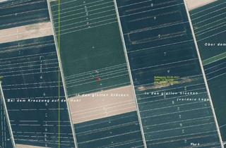 Grundstück zu kaufen in 61231 Bad Nauheim, Landwirtschaftliche-Fläche mit 1.000 m² in Steinfurth / Bad Nauheim