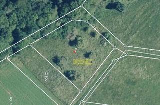 Grundstück zu kaufen in 35647 Waldsolms, Schöne Grünfläche mit Baumbestand