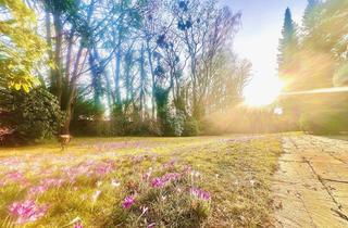 Grundstück zu kaufen in 14163 Zehlendorf, Ca. 1.075 qm Sonnengrundstück zur Neubebauung für 350 qm Wohnfläche- dicht Fischtalpark