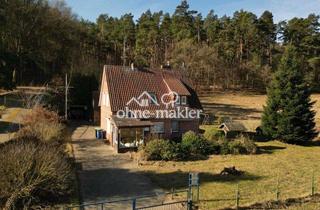 Einfamilienhaus kaufen in Elbuferstraße 210, 29490 Neu Darchau, Haus mit Elbblick