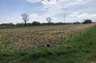 Grundstück zu kaufen in 27299 Langwedel, 24.214 qm Ackerland in Langwedel-Holtebüttel