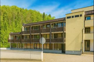 Wohnung mieten in Sonnenhang 10, 93339 Riedenburg, Erstbezug nach Sanierung: Möblierte 1-Zimmer-Wohnung mit Balkon in Riedenburg