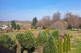 Wohnung mieten in 76275 Ettlingen, Charmante 3,5-Zi DG-Wohnung mit Balkon mit Traum-Ausblick in Ettlingen-Spessart