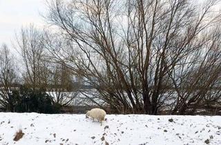 Wohnung mieten in 25436 Neuendeich, Wohnen am Deich