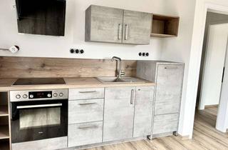 Wohnung mieten in Dorfstraße, 24809 Nübbel, Vollständig sanierte Wohnung mit Dachterrasse und Garten