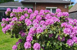 Haus kaufen in 25770 Hemmingstedt, Provisionsfreier Bungalow an der Nordseeküste: Barrierefrei, Kernsaniert & Voll Möbliert