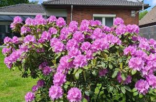 Haus kaufen in 25770 Hemmingstedt, Provisionsfreier Bungalow an der Nordseeküste: Barrierefrei, Kernsaniert & Voll Möbliert