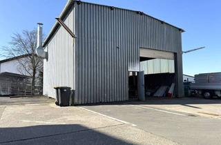 Büro zu mieten in 61239 Ober-Mörlen, Ebenerdige Lagerhalle mit Krananlage - inkl. klimatisiertem Büro | Küche | Stellplätzen.