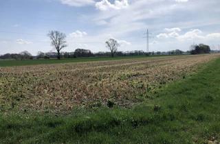 Gewerbeimmobilie kaufen in 27299 Langwedel, 24.214 qm Ackerland in Langwedel-Holtebüttel