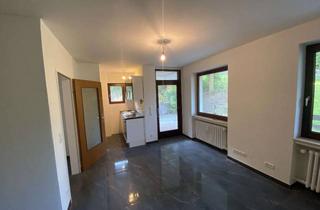 Wohnung mieten in Kleine Oker 32, 38707 Altenau, Saniertes Appartement mit 45,00 m², Terrasse