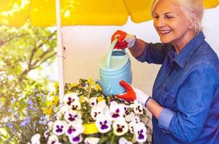Wohnung mieten in Edgar-André-Straße, 17033 Stadtgebiet West, SeniorenWohnen im beliebten Stadtteil!