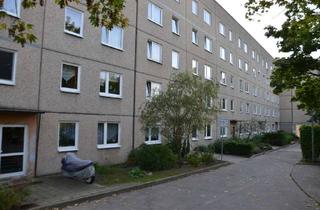 Wohnung mieten in Seelower Kehre 18, 15234 Lichtenberg, Attraktive 3-Zimmer-Wohnung mit Balkon und Weitblick in Frankfurt (Oder)