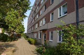 Wohnung mieten in Seelower Kehre 37, 15234 Lichtenberg, Helle 2 Zimmer Wohnung im 5.OG mit Balkon und schöner Aussicht-Seelower Kehre