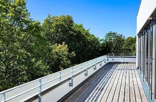 Penthouse mieten in 65931 Sindlingen, ERSTBEZUG: 3-Zimmer-Penthousewohnung mit 2 Dachterrassen