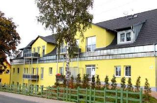 Wohnung mieten in Schartweg Wohnung 40, 06526 Sangerhausen, Seniorenfreundliche, barrierefreie 2-Raumwohnung im Erdgeschoss (Hochparterre) mit Balkon!