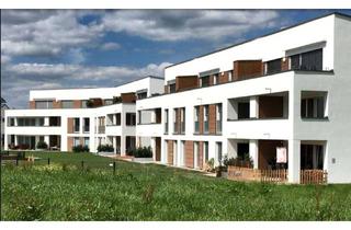 Wohnung mieten in Reutlinger Str. 42, 72138 Kirchentellinsfurt, Moderne 2- Zimmer-Wohnung mit Terasse in Kirchentellinsfurt