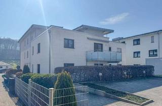 Wohnung mieten in 74889 Sinsheim, Moderne 2-Zimmer-Wohnung mit Balkon - ideal für Paare