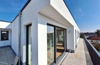 Wohnung mieten in 64569 Nauheim, Über den Dächern von Nauheim - 3 ZKB - mit Aufzug - DG Rechts