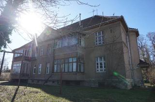 Haus kaufen in Maxim-Gorki-Straße, 39448 Westeregeln, Ruhig gelegenes Grundstück mit Gebäude im Bode-Tal in Westeregeln zu verkaufen