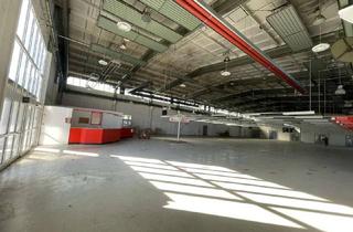 Gewerbeimmobilie mieten in 19230 Hagenow, attraktive, flexibel nutzbare Hallenfläche zu vermieten