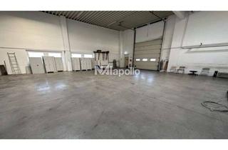 Gewerbeimmobilie mieten in 63674 Altenstadt, Kauf/Miete | 950m² Lagerfläche | 500m² Freifläche