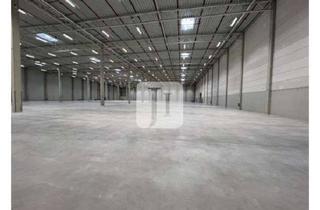 Büro zu mieten in 22844 Norderstedt, NEUBAU - ca. 6.800 m² Lager-/Logistikfläche, ca. 385 m² Lagermezzanin sowie ca. 497 m² Büro