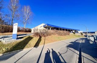 Gewerbeimmobilie mieten in Windorfer Straße, 93444 Bad Kötzting, Gewerbeareal mit bis zu 14.700 m² – Produktion | Lager | Light Industrial – Provisionsfrei