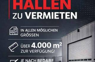 Gewerbeimmobilie mieten in 46499 Hamminkeln, diverse Hallen zu vermieten