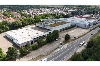 Gewerbeimmobilie mieten in 73326 Deggingen, Hallen / Lager / Produktion Nähe A8, an B 466