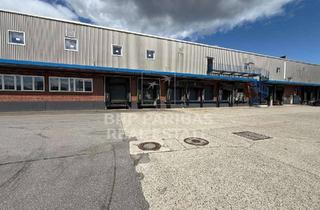 Gewerbeimmobilie mieten in 22113 Billbrook, Sofort verfügbar: ca. 4.400 m² Logistikhalle in BIllbrook