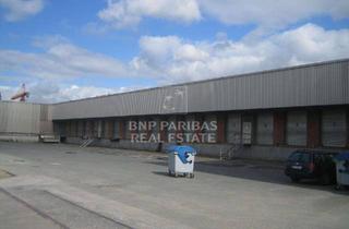 Gewerbeimmobilie mieten in 22113 Billbrook, Logistikzentrum inkl. Hochregal in Billbrook