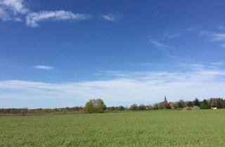 Grundstück zu kaufen in 17207 Bollewick, wunderschönes Baugrundstück in attraktiver Größe