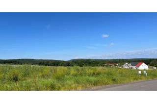 Grundstück zu kaufen in 67292 Kirchheimbolanden, Ihr Traum vom Eigenheim – in Kirchheimbolanden verwirklichen!