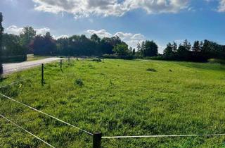 Grundstück zu kaufen in 48346 Ostbevern, Baugrundstück für ein Einfamilienhaus