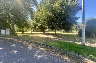 Grundstück zu kaufen in 19374 Domsühl, 294 m² Baugrundstück in Domsühl, ideal für Tiny House