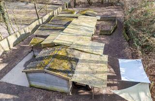 Grundstück zu kaufen in 27283 Verden, Gewerblich genutztes Spezialgrundstück am Stadtwald – Außenbereich gemäß § 35 BauGB (aktuell Hund...