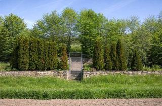 Grundstück zu kaufen in 71706 Markgröningen, Traumhafte Oase an sonnigem Südhang mit Wochenendhaus, Gerätehaus, Naturteich und zwei Zufahrten.