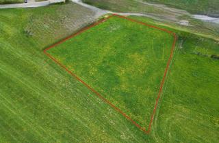 Grundstück zu kaufen in 34308 Bad Emstal, Schnell sein lohnt sich! Attraktives Wohnbaugrundstück in sehr ruhiger Lage.