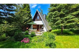 Grundstück zu kaufen in Am Hammerberg, 09439 Amtsberg, Ruhig-im Grünen!I Idyllisches Wochenendgrundstück mit großer Finnhütte im Erzgebirge. Erholung pur.