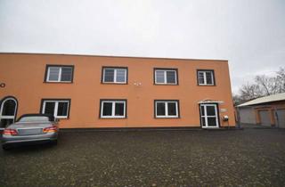 Büro zu mieten in 53332 Bornheim, Helle, großzügige Büroräume/Ausstellungsfläche im Gewerbegebiet Sechtem