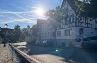 Immobilie mieten in 76593 Gernsbach, Waldbach Apartment Gernsbach