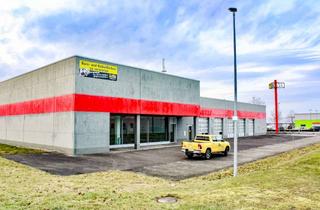 Gewerbeimmobilie kaufen in Werner-Von Siemens-Str. 12, 89415 Lauingen, Vielseitige Einzelhandels‑ und Lagerfläche in Bestlage in Lauingen