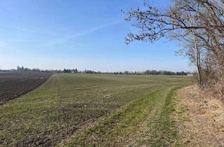 Gewerbeimmobilie kaufen in 85737 Ismaning, Ackerfläche in Ismaning