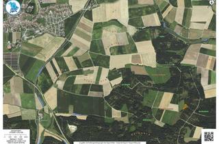 Gewerbeimmobilie kaufen in 86681 Fünfstetten, Drei Waldfächen mit Potential