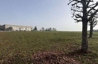 Gewerbeimmobilie kaufen in Ludwig-Gaab-Straße, 88427 Bad Schussenried, Vollerschlossenes Gewerbegrundstück in verkehrsgünstiger Lage